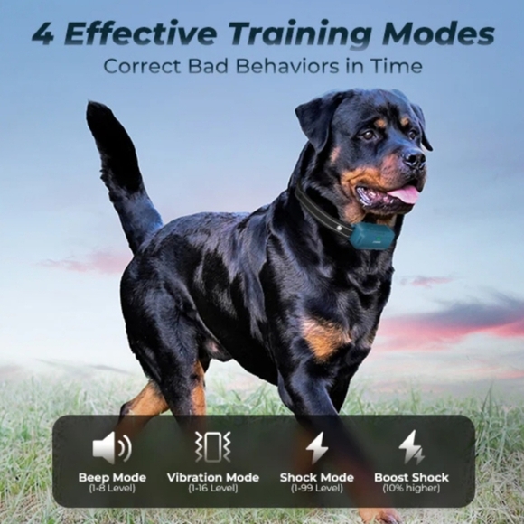 Jugbow DT-682 Remote Training Collar for Two Dogs – 4200FT Range - Picture 2 of 12